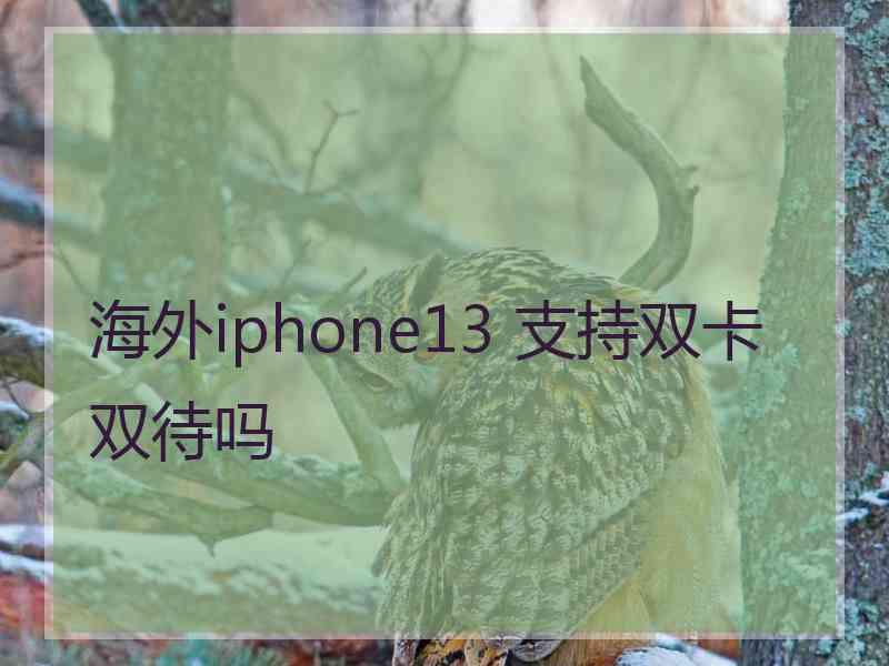 海外iphone13 支持双卡双待吗