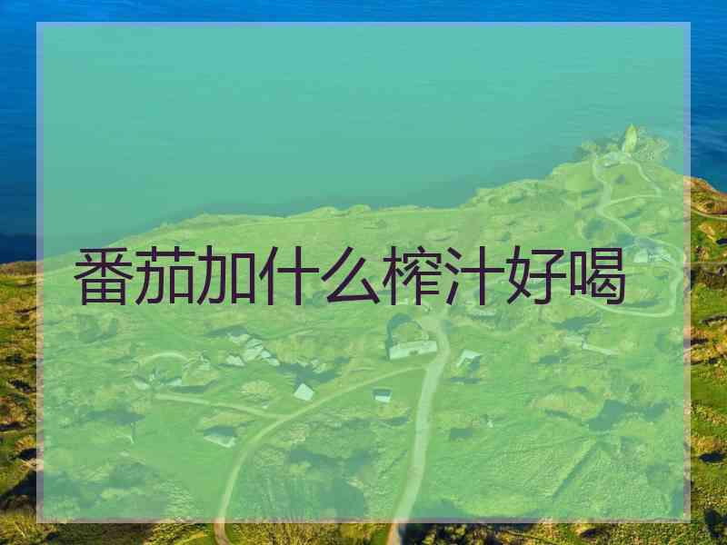 番茄加什么榨汁好喝