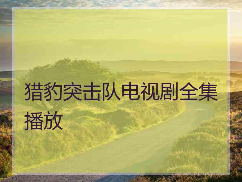 猎豹突击队电视剧全集播放