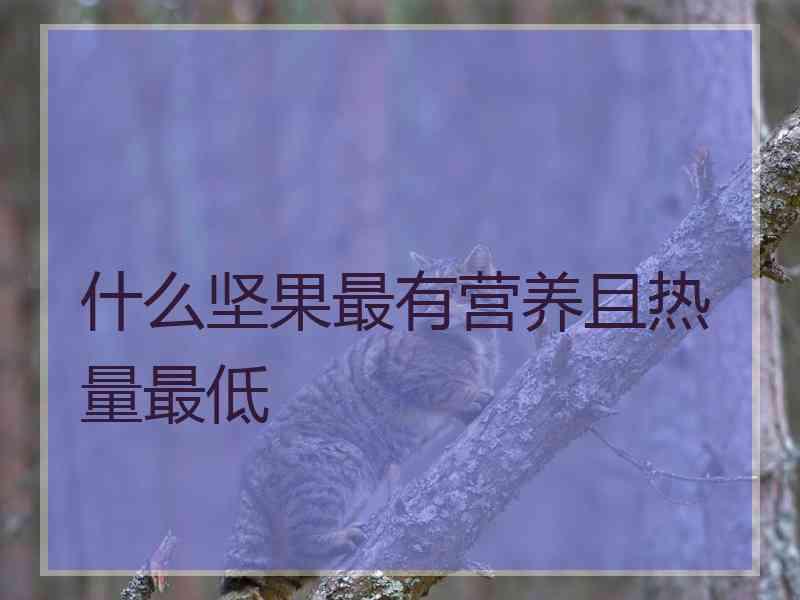 什么坚果最有营养且热量最低
