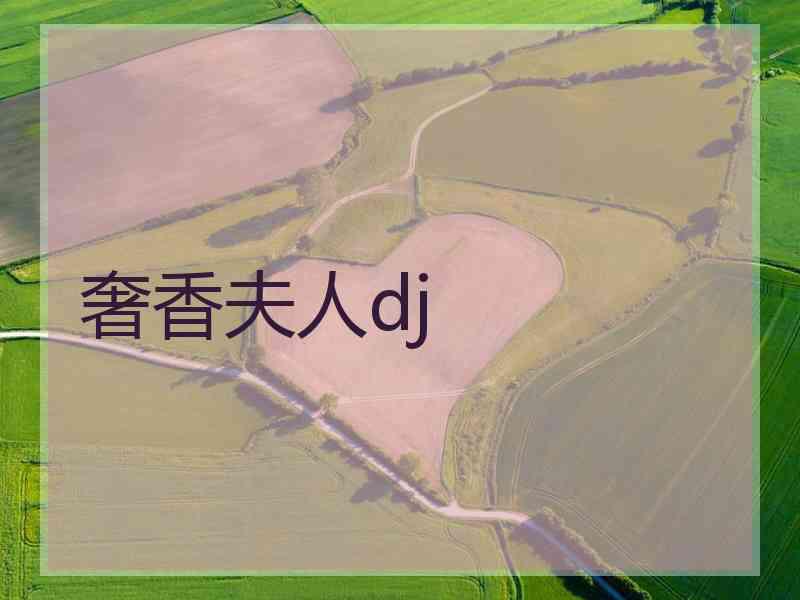 奢香夫人dj
