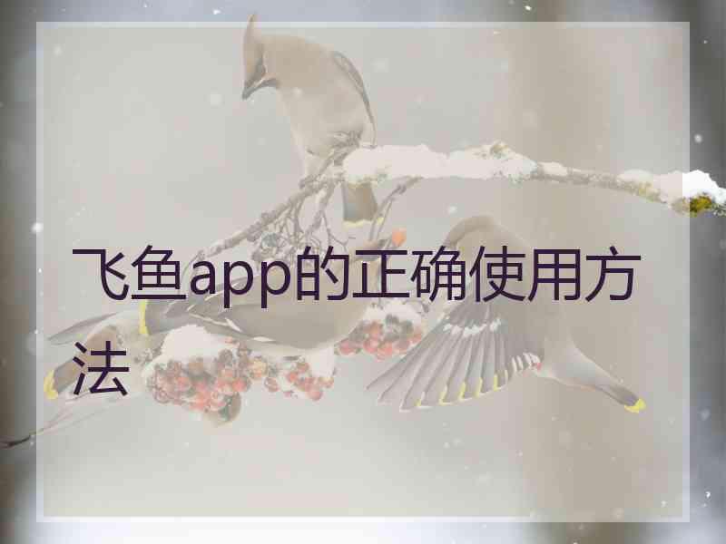飞鱼app的正确使用方法