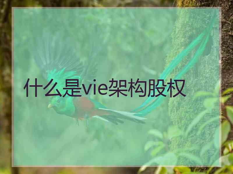 什么是vie架构股权