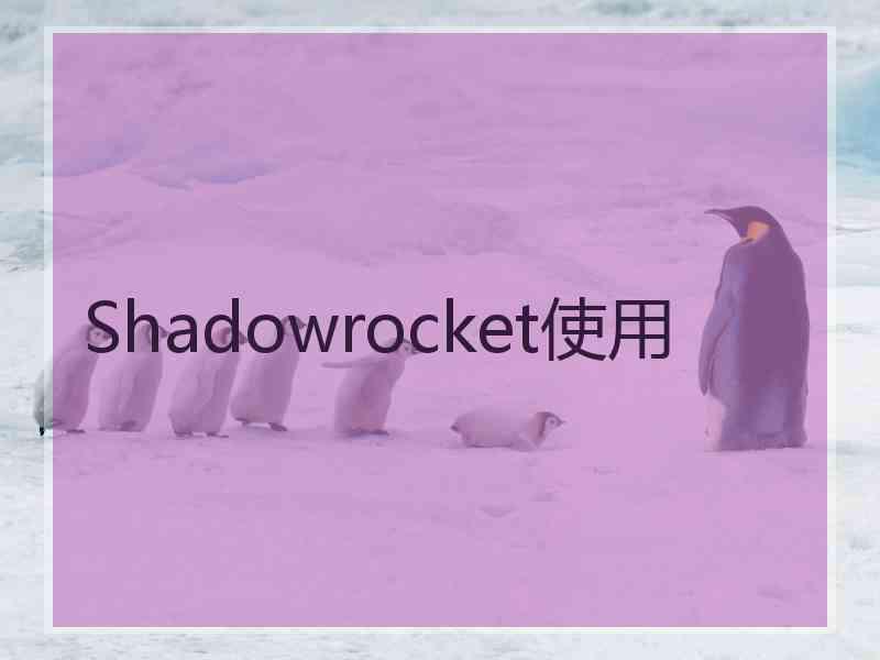 Shadowrocket使用