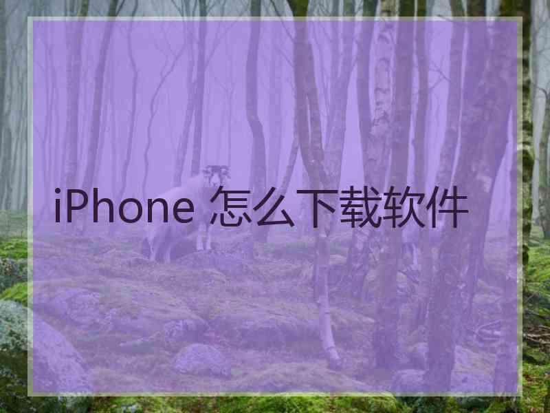 iPhone 怎么下载软件