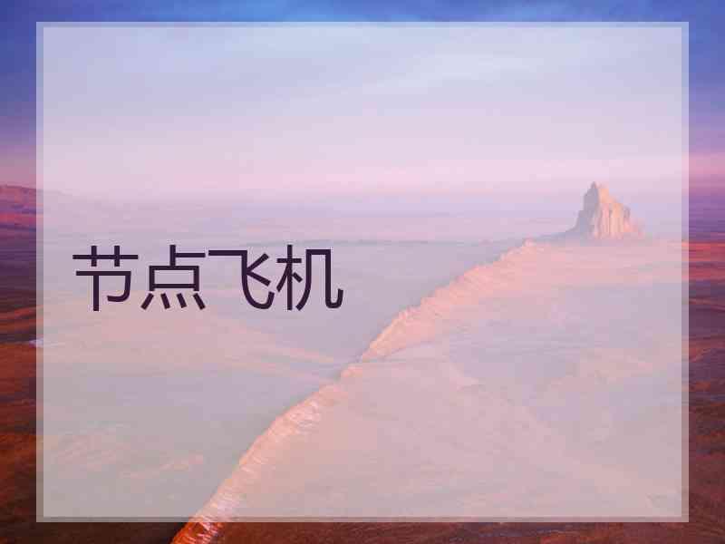 节点飞机