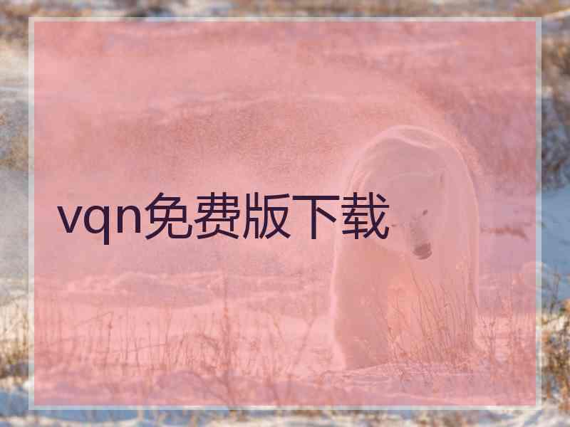 vqn免费版下载