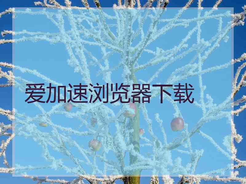 爱加速浏览器下载