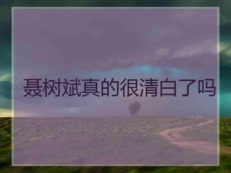 聂树斌真的很清白了吗