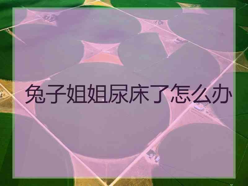 兔子姐姐尿床了怎么办