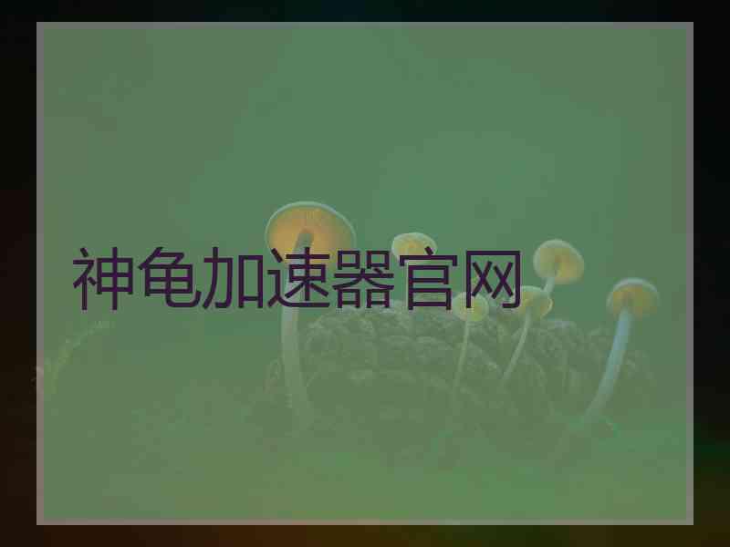 神龟加速器官网