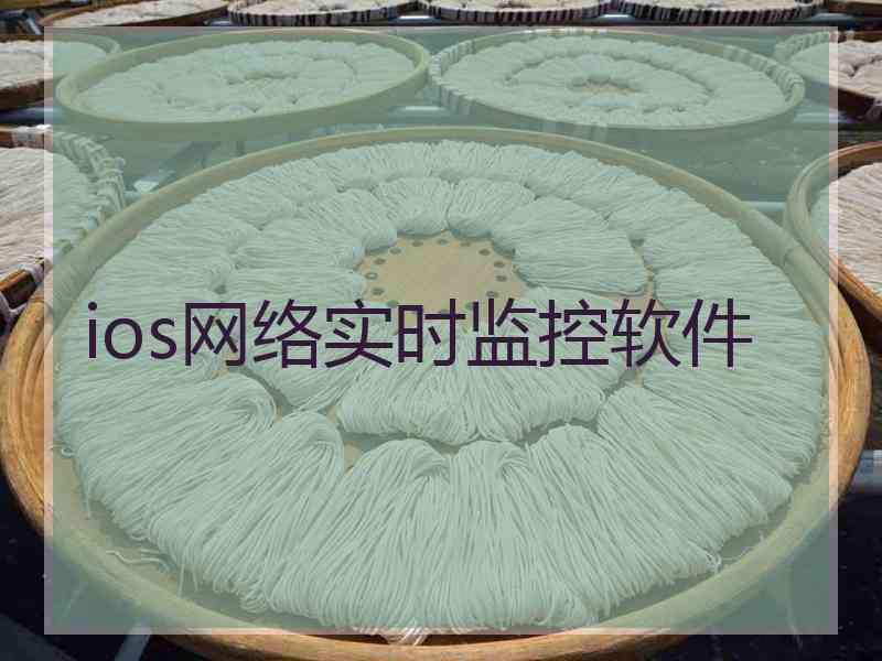ios网络实时监控软件