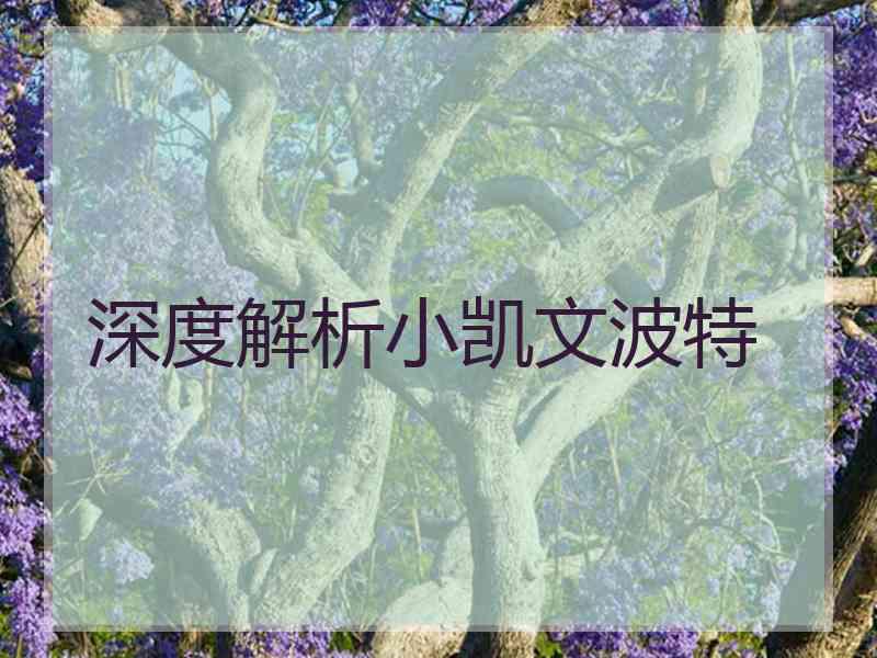 深度解析小凯文波特