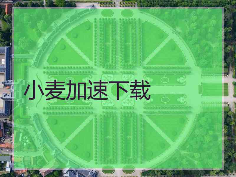 小麦加速下载