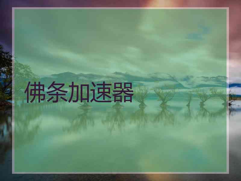 佛条加速器