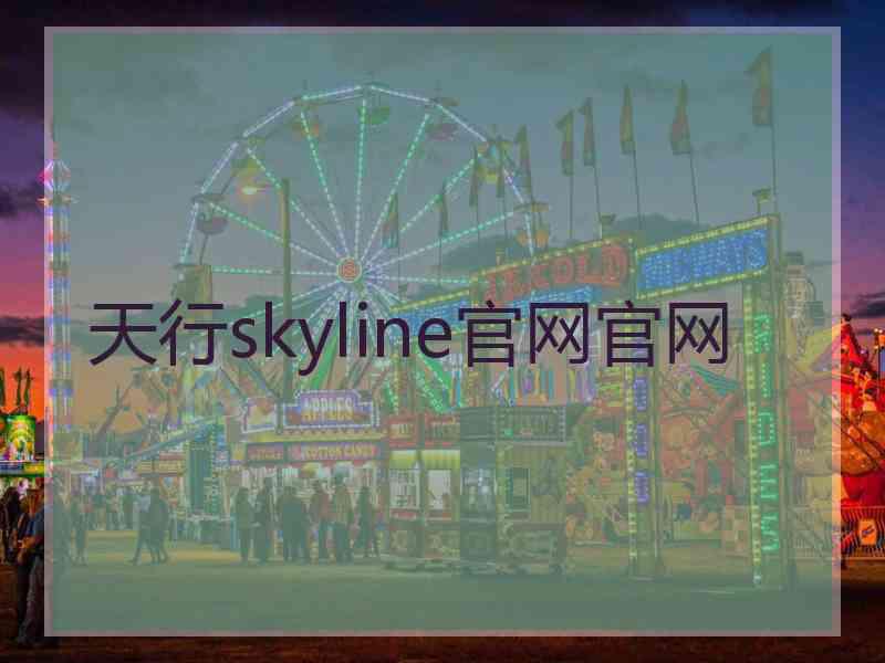 天行skyline官网官网
