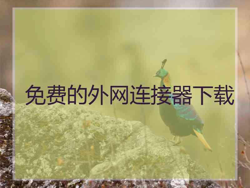免费的外网连接器下载