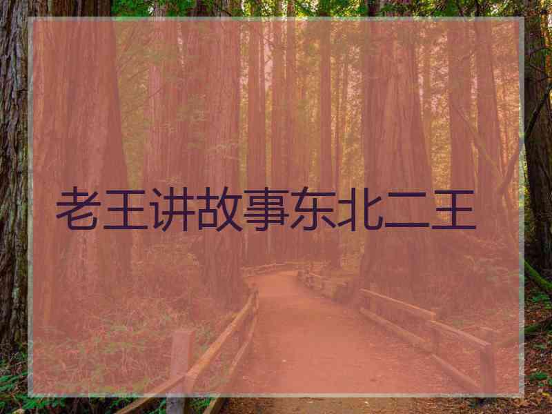 老王讲故事东北二王