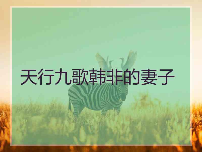 天行九歌韩非的妻子