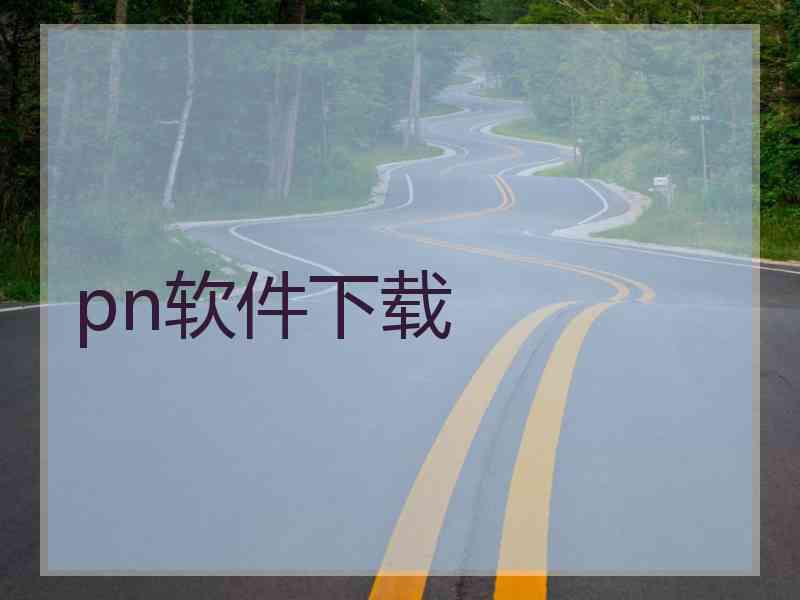 pn软件下载