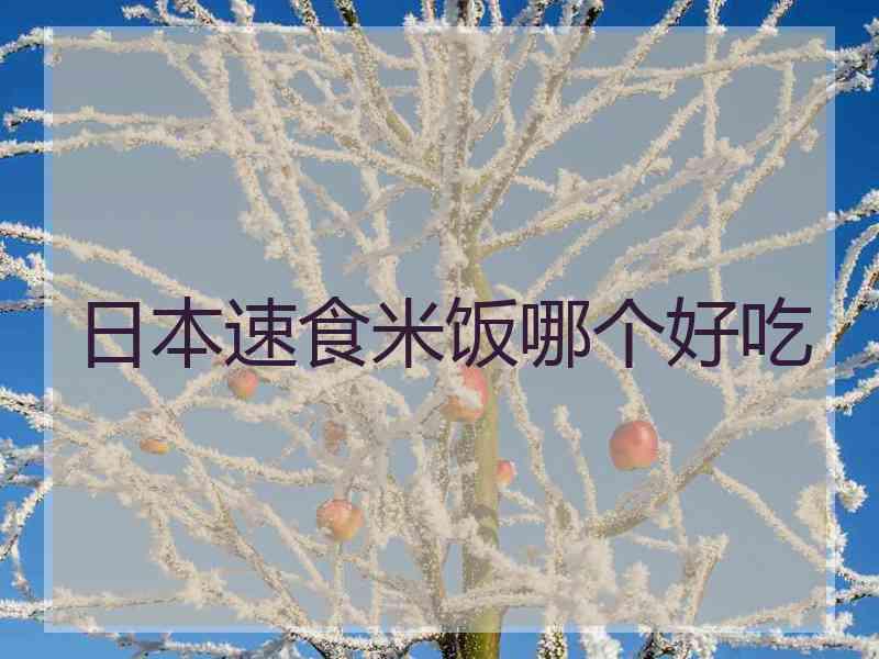 日本速食米饭哪个好吃