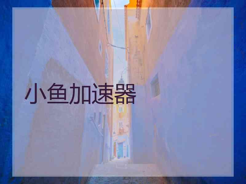 小鱼加速器