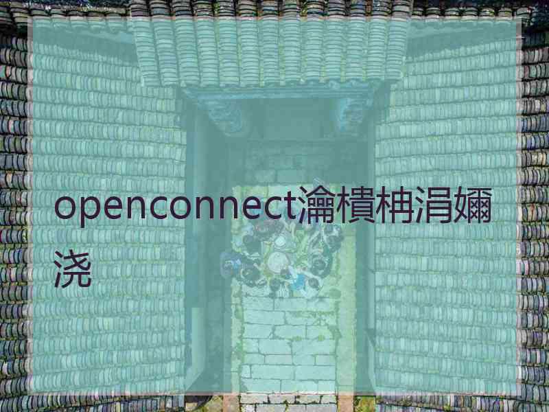 openconnect瀹樻柟涓嬭浇