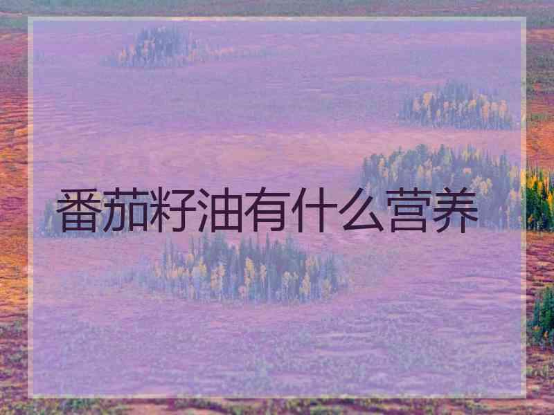 番茄籽油有什么营养
