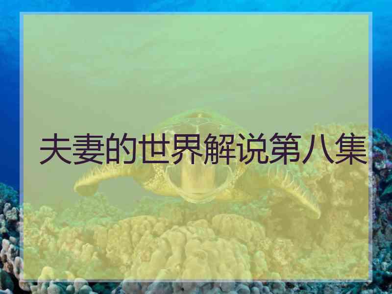 夫妻的世界解说第八集