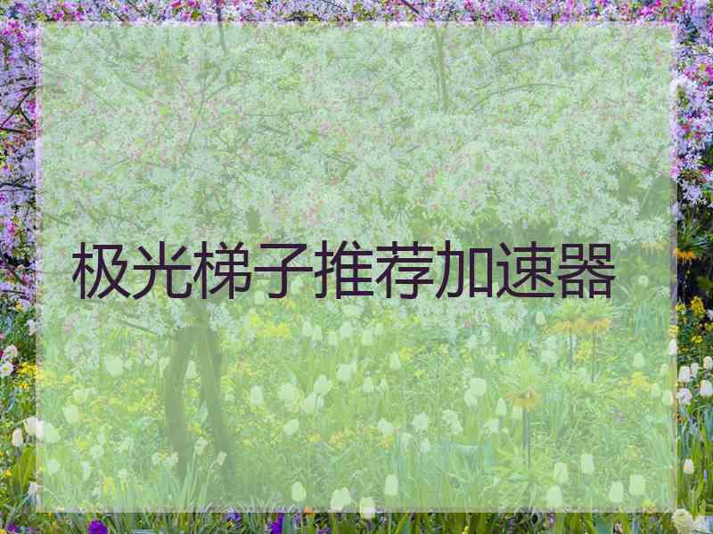 极光梯子推荐加速器