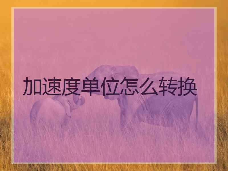 加速度单位怎么转换
