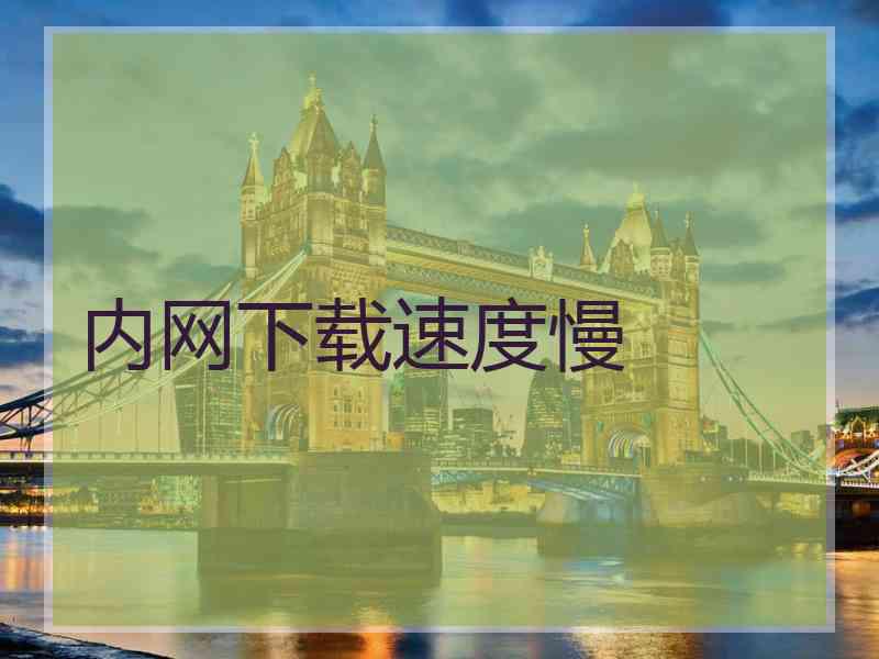 内网下载速度慢