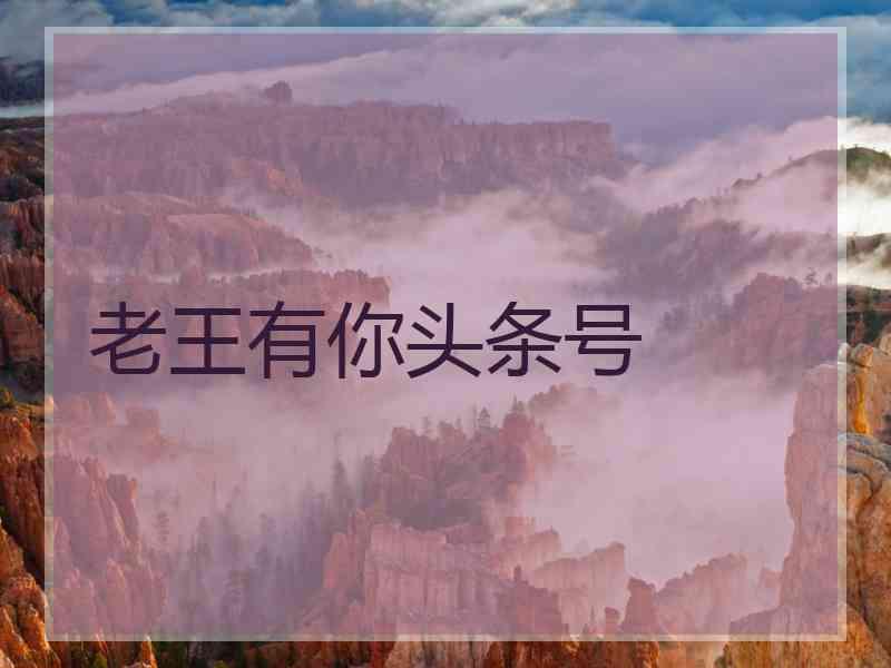 老王有你头条号