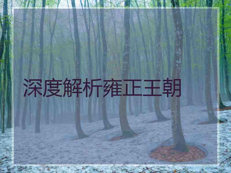 深度解析雍正王朝