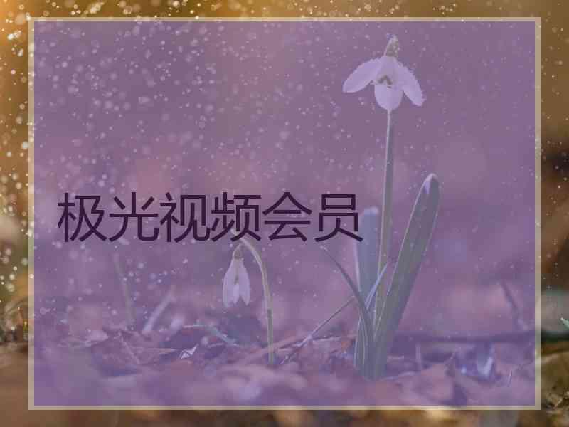 极光视频会员