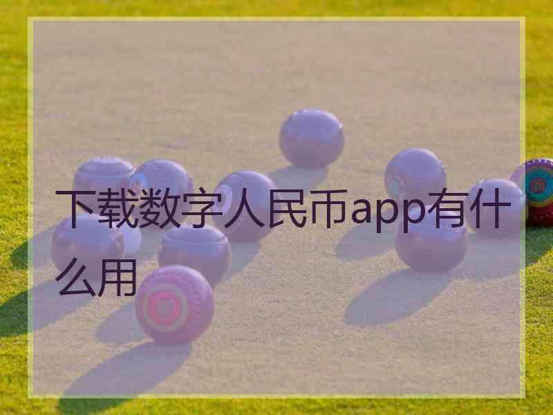 下载数字人民币app有什么用
