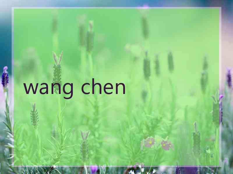 wang chen