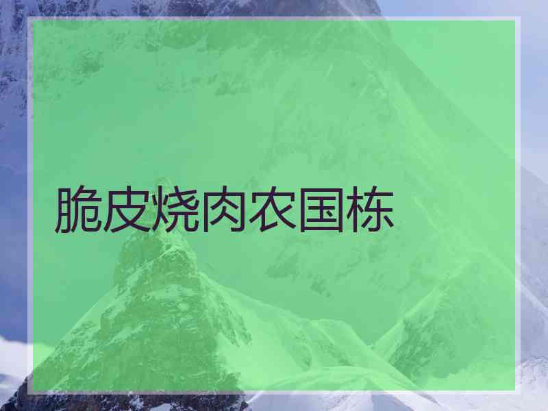 脆皮烧肉农国栋