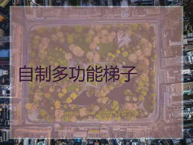 自制多功能梯子
