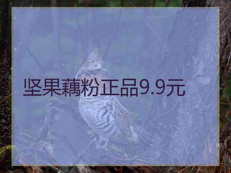 坚果藕粉正品9.9元