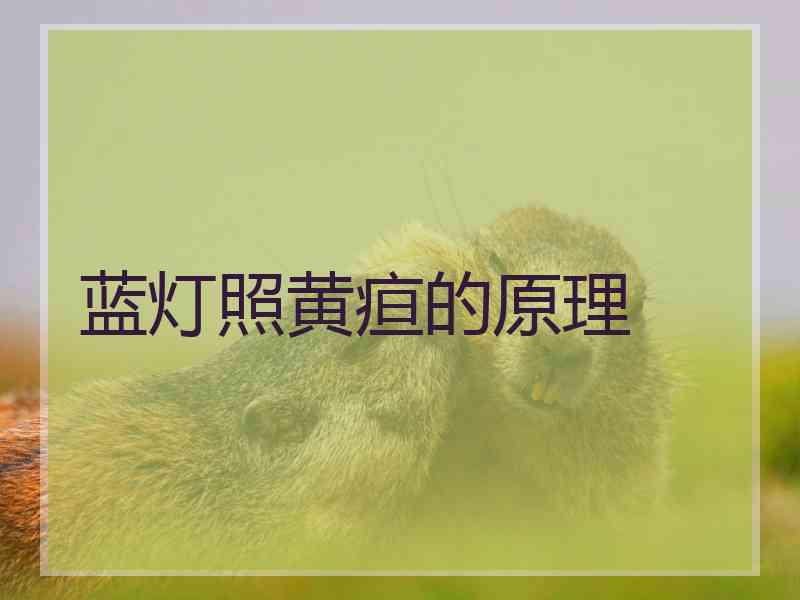 蓝灯照黄疸的原理