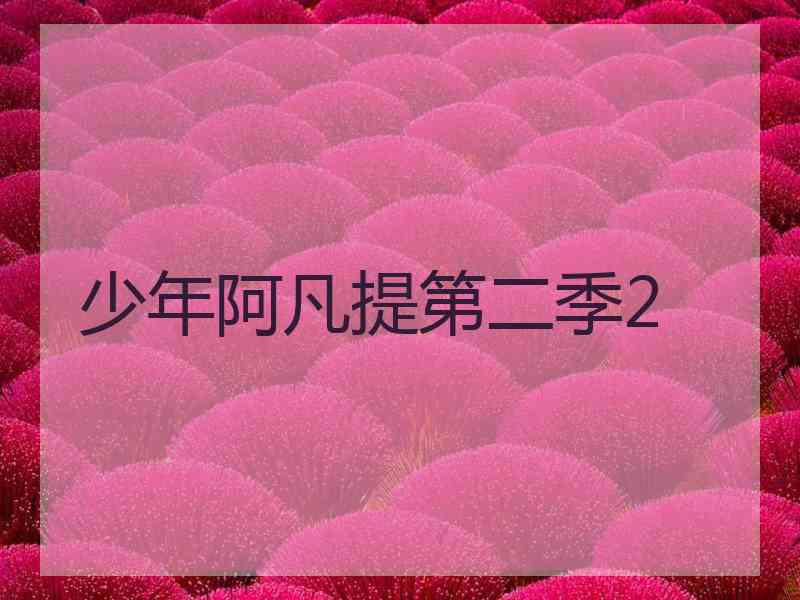 少年阿凡提第二季2