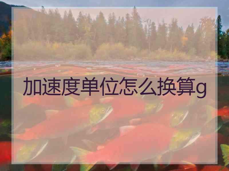 加速度单位怎么换算g