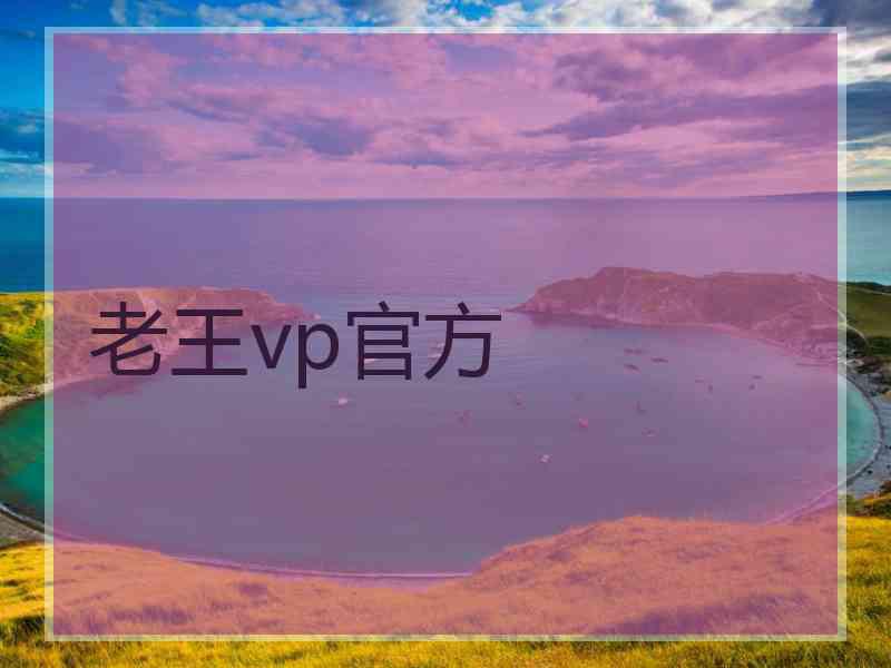 老王vp官方