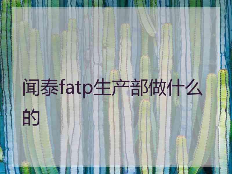 闻泰fatp生产部做什么的
