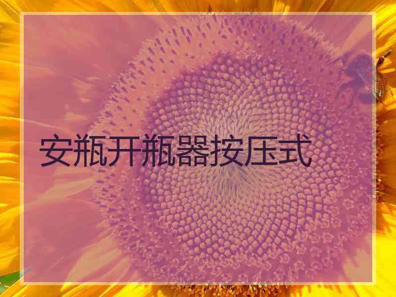 安瓶开瓶器按压式