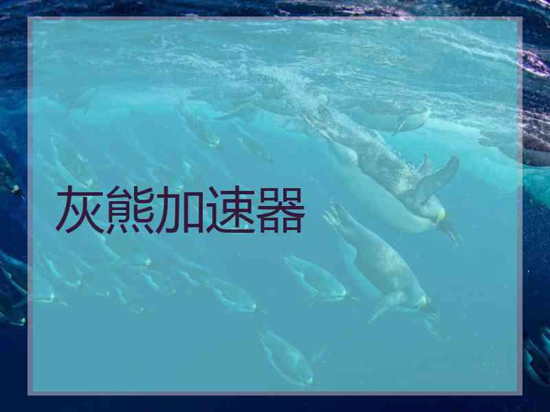灰熊加速器
