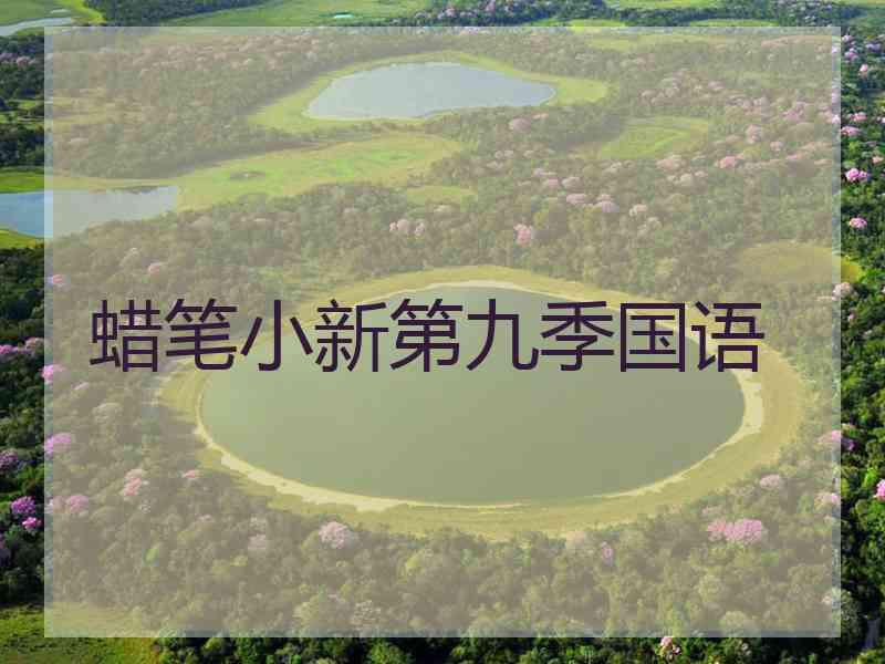 蜡笔小新第九季国语
