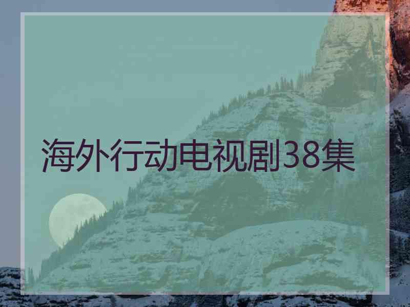 海外行动电视剧38集