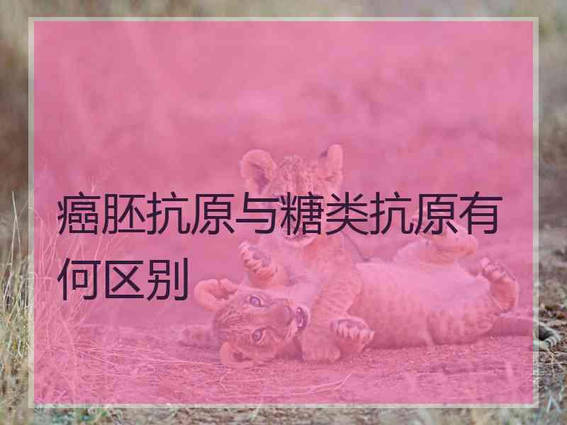癌胚抗原与糖类抗原有何区别
